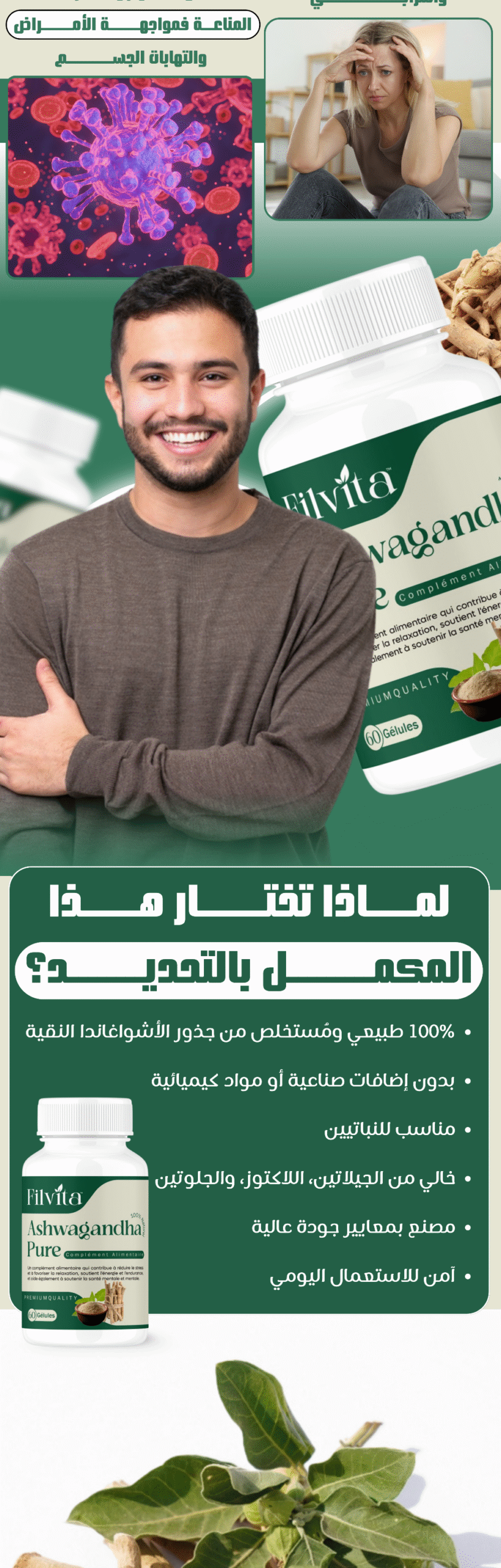 Pure Ashwagandha | filvita.ma المكملات الغذائية https://filvita.ma/wp-content/uploads/2025/06/cropped-Filvita-–-مكملات-غذائية-طبيعية-لتحسين-الصحة.png Pure Ashwagandha | filvita.ma المكملات الغذائية