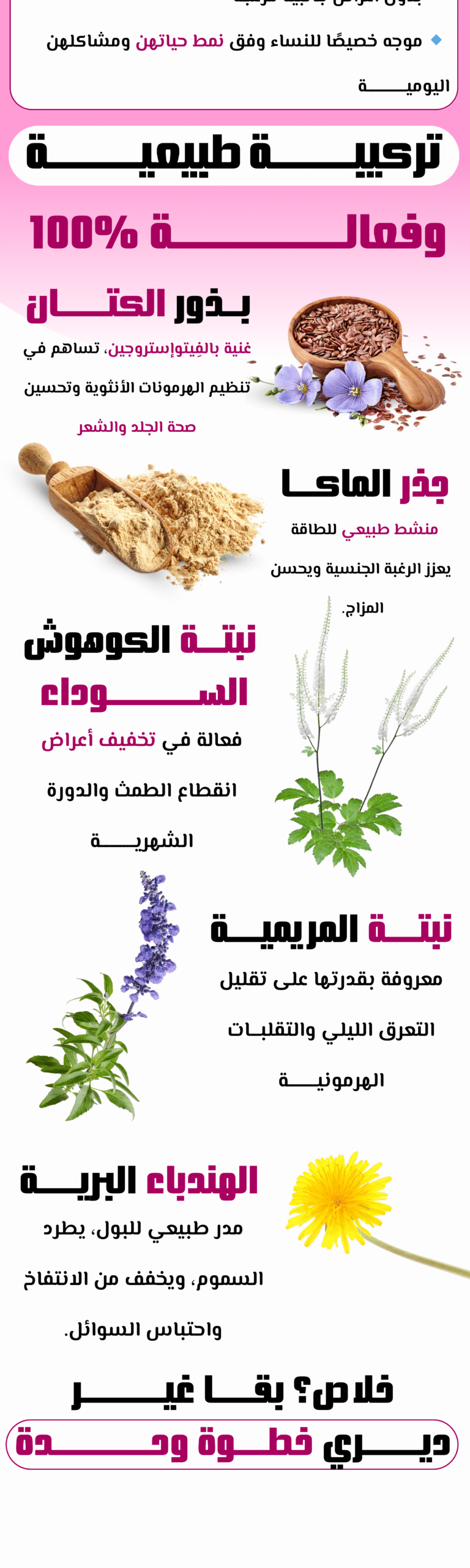 femhormony | filvita.ma المكملات الغذائية https://filvita.ma/wp-content/uploads/2025/06/cropped-Filvita-–-مكملات-غذائية-طبيعية-لتحسين-الصحة.png femhormony | filvita.ma المكملات الغذائية